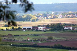 Jüdischer Friedhof Rödelsee, Weingut Hemberger und Mainbernheim am 1. Oktober 2025