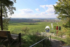 terroir f Rödelsee am 1. Oktober 2025