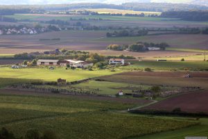Jüdischer Friedhof Rödelsee, Weingut Hemberger und Ortsrand von Mainbernheim am 1. Oktober 2025