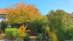 Unser Garten am 14. Oktober 2025