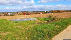 Anpflanzung und Platz für künftige Bankgruppe in der Eisinger Flur?