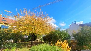 Unser Garten am 18. Oktober 2025