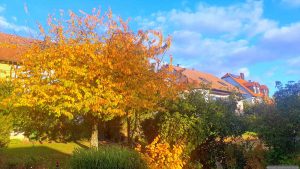 Unser Garten am 18. Oktober 2025