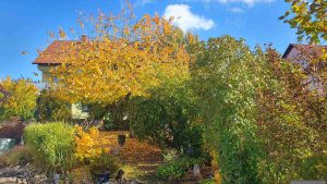 Unser Garten am 21. Oktober 2025