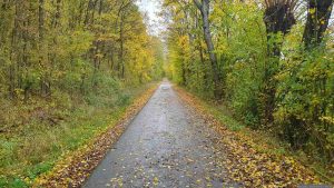 Waldweg bei Eisingen am 27. Oktober 2025 während stürmischer Tage