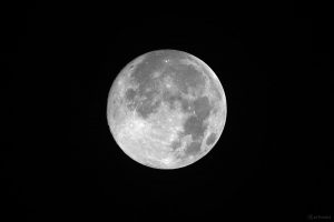 Zunehmender Mond am 5. November 2025 um 04:32 Uhr in Erdnähe. Entfernung: 354.956 Kilometer. Beleuchtet: 99,6%