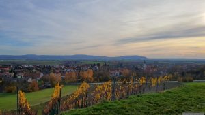 Markt Einersheim am 5. November 2025