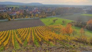 Markt Einersheim am 5. November 2025