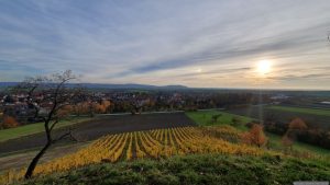 Markt Einersheim am 5. November 2025 mit Blick auf den Iffigheimer und Bullenheimer Berg