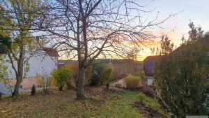 Unser Garten am 11. November 2025