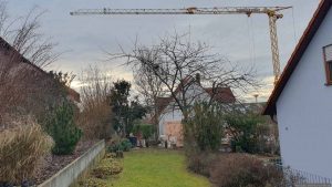 Unser Garten am 10. Dezember 2025