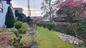 Unser Garten am 10. Dezember 2025