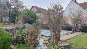 Unser Garten am 10. Dezember 2025