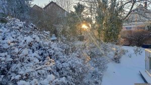 Neuschnee in unserem Garten am 2. Januar 2026