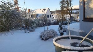 Neuschnee in unserem Garten am 2. Januar 2026