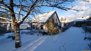 Neuschnee in unserem Garten am 2. Januar 2026