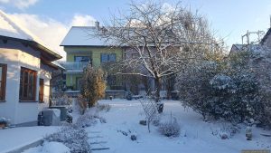 Neuschnee in unserem Garten am 2. Januar 2026