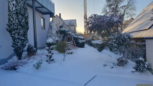 Neuschnee in unserem Garten am 2. Januar 2026