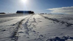 Schneelandschaft am 3. Januar 2026