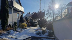 Unser Garten am 11. Januar 2026