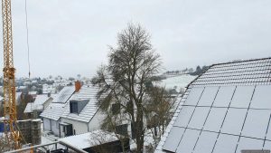Wetterbild aus Eisingen vom 12. Januar 2026