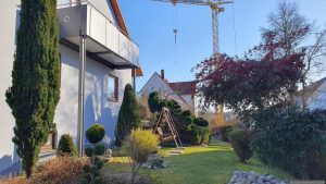 Unser Garten am 19. Januar 2026