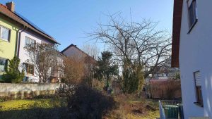 Unser Garten am 19. Januar 2026
