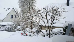 In der Nacht vom 25. auf den 26. Januar 2026 gab es gut 20 cm Neuschnee