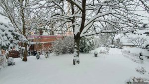 Am 26. Januar 2026 wuchs die Schneehöhe auf ca. 30 cm an