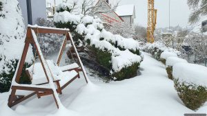 Unser Garten am 26. Januar 2026