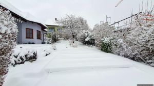 Unser Garten am 26. Januar 2026