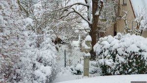 Unser Garten am 26. Januar 2026