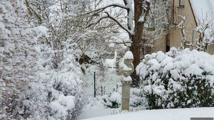 Unser Garten am 26. Januar 2026