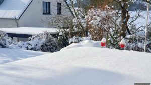 Unser Garten am 27. Januar 2026