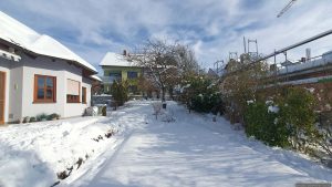 Unser Garten am 27. Januar 2026