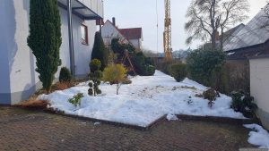 Unser Garten am 4. Februar 2026