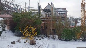 Unser Garten am 16. Februar 2026 (Rosenmontag)