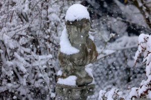 Schneebedeckte Büste in unserem Garten am 19. Februar 2026 - "Harmony" - Kopf der Steinfigur Büste Kate von Surrey Gartenfiguren