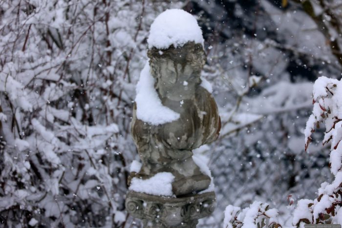 Schneebedeckte Büste in unserem Garten am 19. Februar 2026 - "Harmony" - Kopf der Steinfigur Büste Kate von Surrey Gartenfiguren