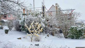 Unser Garten am 19. Februar 2026