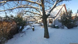 Unser Garten am 20. Februar 2026