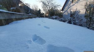 Unser Garten am 20. Februar 2026