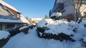 Unser Garten am 20. Februar 2026