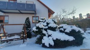 Unser Garten am 20. Februar 2026