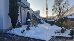 Unser Garten am 20. Februar 2026