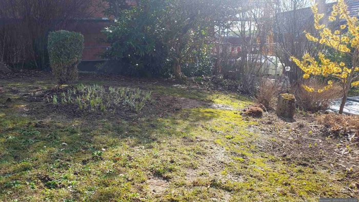Unser Garten am 1. März 2026