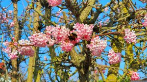 Unser Garten am 3. März 2026