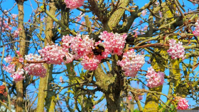 Unser Garten am 3. März 2026
