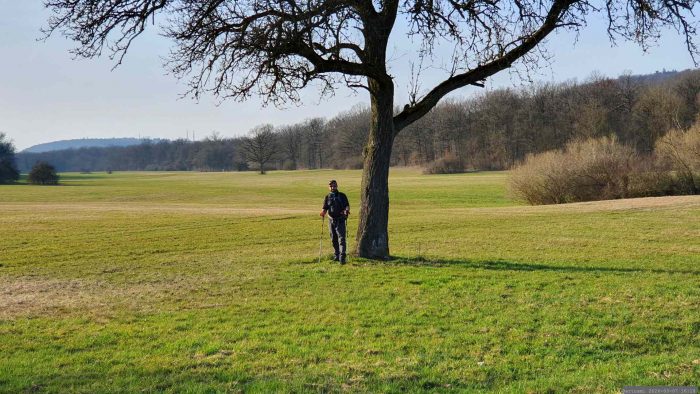 Magerwiesen zwischen Iphofen und Birklingen am 7. März 2026