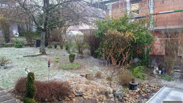 Unser Garten am 16. März 2026 während eines Gewitters mit Graupelschauer